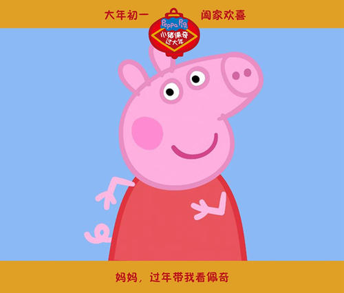 埃尔福特阿达姆-利丝应本科成绩单